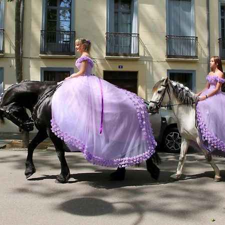 Апартаменты La Cigogne Сере Экстерьер фото